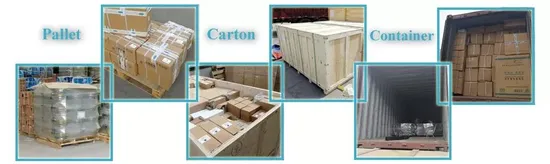 China Factory Supply Sinotruck HOWO Light Truck/Transmission/Cabin/Auto/Engine Parts Gearbox